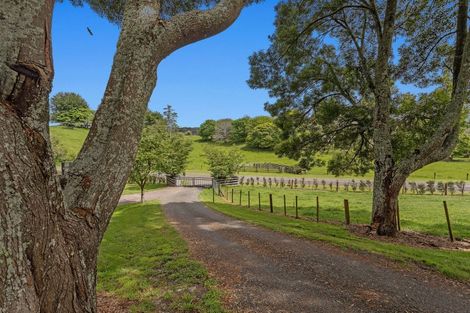 Photo of property in 133 Hogg Road, Rotoma, Whakatane, 3192