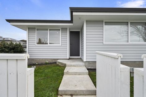 Photo of property in 33 Liverpool Street, Takaro, Palmerston North, 4412