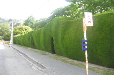 Photo of property in 3 Birdwood Avenue, Beckenham, Christchurch, 8023