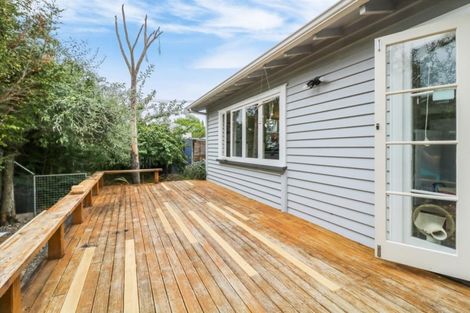 Photo of property in 40 Macfarlane Street, Hamilton East, Hamilton, 3216