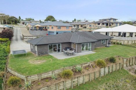 Photo of property in 373 Picquet Hill Road, Te Awamutu, 3800