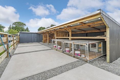 Photo of property in 8 Perendale Place, Kirwee, 7571