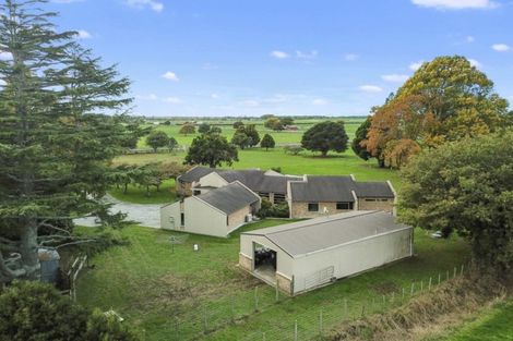 Photo of property in 942 Horrell Road, Te Puninga, Morrinsville, 3374