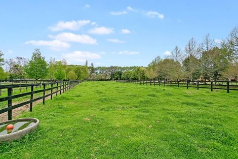 Photo of property in 638 Marychurch Road, Matangi, Hamilton, 3284