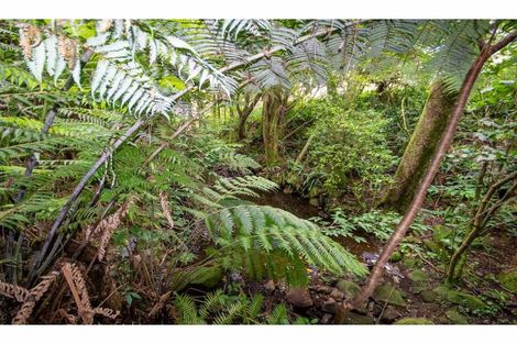 Photo of property in 88 Ness Road, Waipapa, Kerikeri, 0295