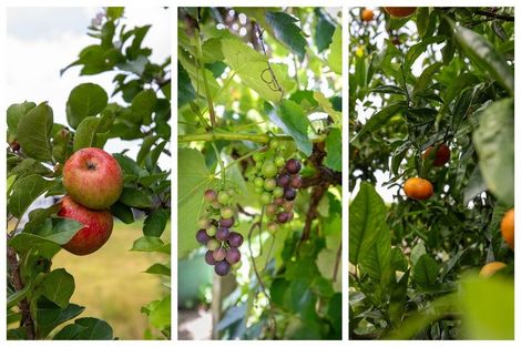 Photo of property in 103 Warner Road, Oropi, Tauranga, 3173