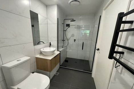 Photo of property in 209/8 Kingsland Terrace, Kingsland, Auckland, 1021