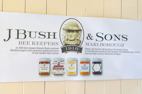 Photo of property in 168 Old Renwick Road, Springlands, Blenheim, 7272