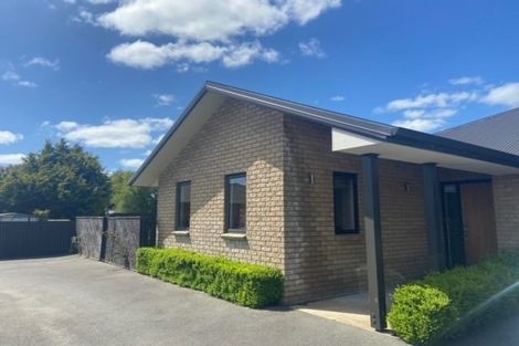 Photo of property in 17 Ethel Street, Newfield, Invercargill, 9812