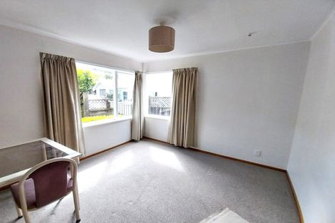 Photo of property in 117 Aro Street, Aro Valley, Wellington, 6021