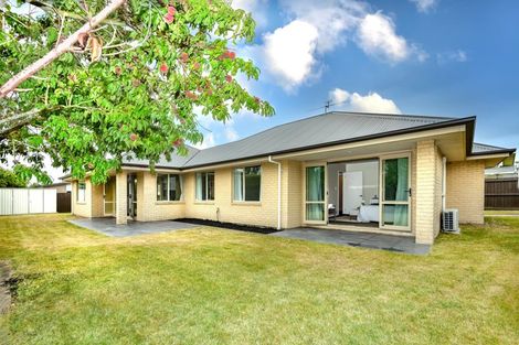 Photo of property in 19 Mosquito Place, Wigram, Christchurch, 8042