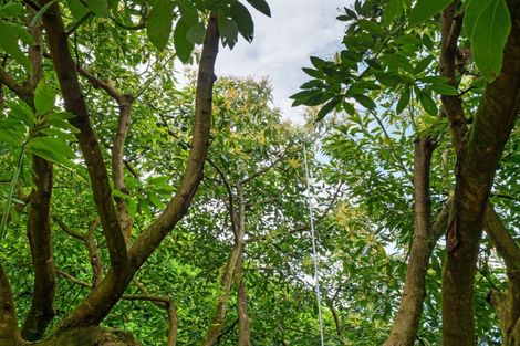 Photo of property in 39 Hot Springs Road, Tahawai, Katikati, 3178