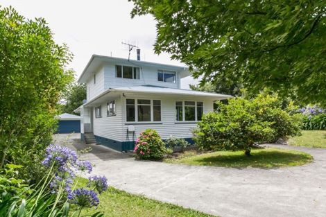 Photo of property in 21 Tanner Street, Havelock North, 4130