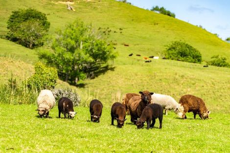 Photo of property in 27 Motutoa Road, Opononi, Kaikohe, 0473