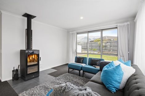 Photo of property in 16 Boysenberry Grove, Richmond, 7020