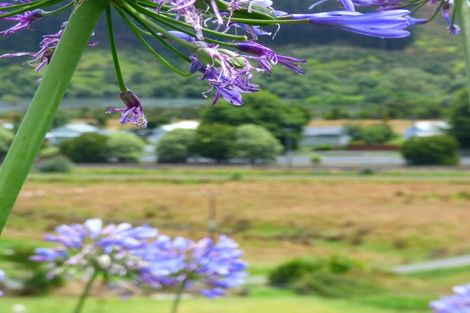 Photo of property in 181 Tregoweth Lane, Huntly, 3700