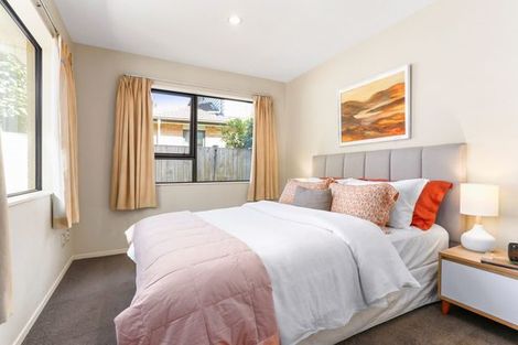 Photo of property in 8a St Albans Avenue, Mount Eden, Auckland, 1024