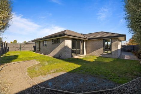 Photo of property in 116 Metehau Street, Marshland, Christchurch, 8083