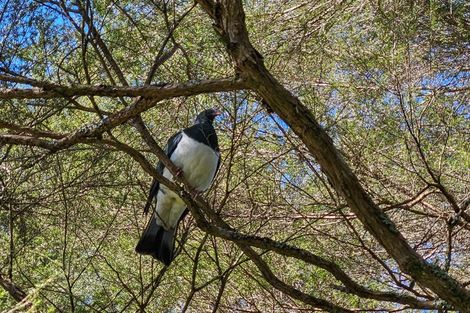 Photo of property in 35 Hume Road, Aongatete, 3181