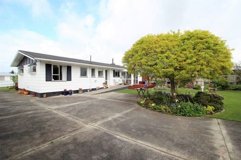 Photo of property in 19 Bowen Street, Woodville, 4920