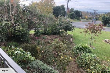 Photo of property in 34 Haggitt Street, Feilding, 4702