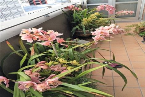 Photo of property in The Lofts, 14/185 Victoria Street, Te Aro, Wellington, 6011