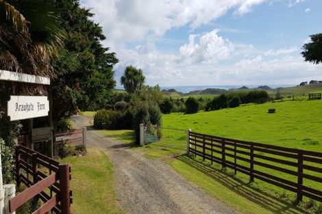 Photo of property in 286 Rehutai Road, Baylys Beach, Dargaville, 0377