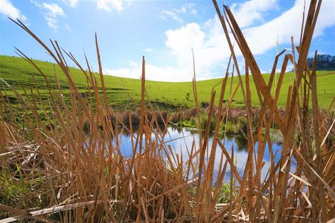 Photo of property in 533 Pataua South Road, Pataua South, Onerahi, 0192