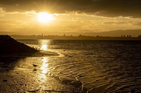 Photo of property in 71a Matua Road, Matua, Tauranga, 3110