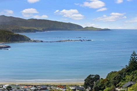 Photo of property in 38 Hornsey Road, Melrose, Wellington, 6023