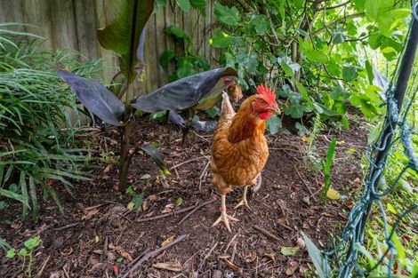 Photo of property in 260 Rutherford Street, Nelson South, Nelson, 7010