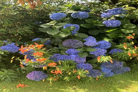 Photo of property in 13 Avoca Place, Darfield, 7510