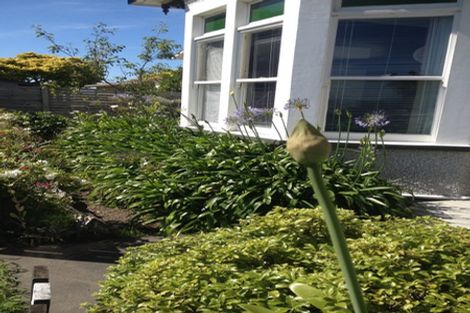 Photo of property in 14 Freyberg Street, Roslyn, Palmerston North, 4414