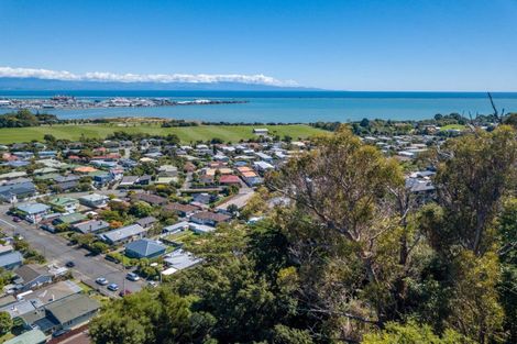 Photo of property in 101 Cambria Street, The Wood, Nelson, 7010