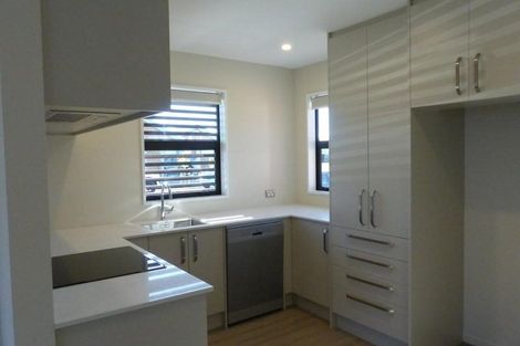 Photo of property in 17 Te Rito Street, Marshland, Christchurch, 8083