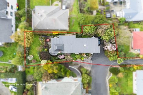 Photo of property in 16 Napier Street, Belleknowes, Dunedin, 9011