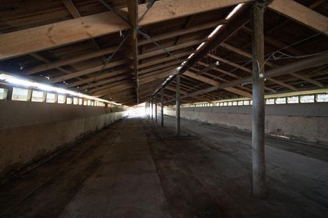 Photo of property in 294 Stockgrove Road, Glasnevin, Amberley, 7482