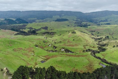 Photo of property in 79a Range Road, Pongaroa, 4990