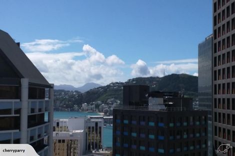 Photo of property in Terrace Heights Apartments, 10c/163 The Terrace, Wellington Central, Wellington, 6011