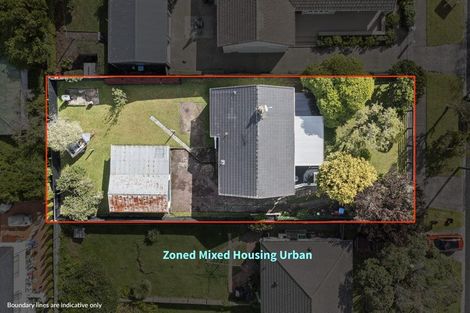 Photo of property in 31 Tasman Avenue, Mount Albert, Auckland, 1025