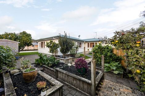 Photo of property in 30 Knighton Road, Hillcrest, Hamilton, 3216