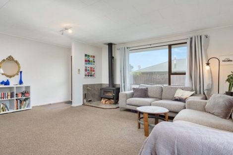 Photo of property in 25 Anglesea Street, Renwick, 7204