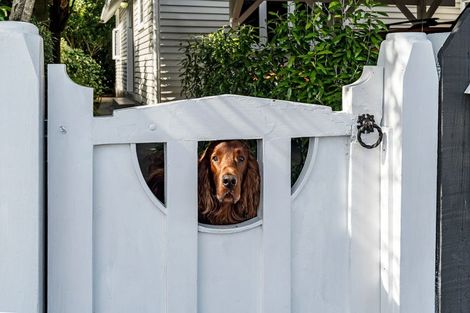 Photo of property in 47 Wallace Place, Westown, New Plymouth, 4310