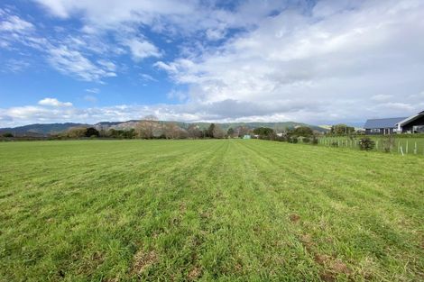 Photo of property in 61 Wakefield Road, Levin, 5571