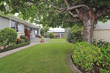 Photo of property in 229a Kenilworth Road, Mayfair, Hastings, 4122