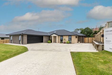 Photo of property in 1 Sudeng Street, Levin, 5510