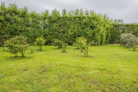 Photo of property in 71 Whelans Road, Levin, 5571