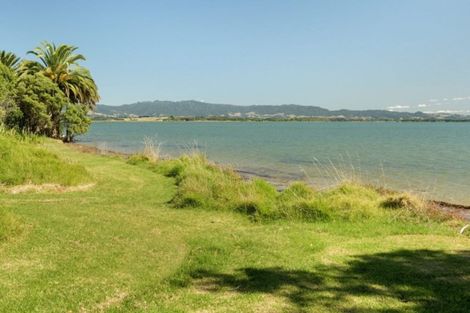 Photo of property in 331 Pahoia Road, Whakamarama, 3172