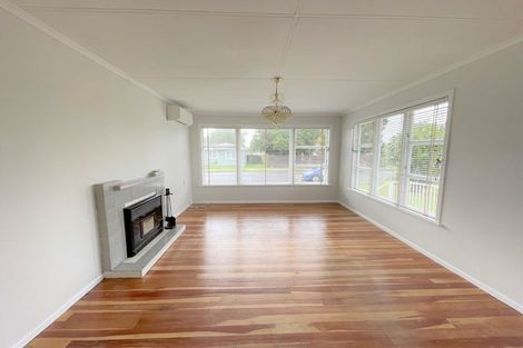 Photo of property in 9 Collingwood Street, Levin, 5510