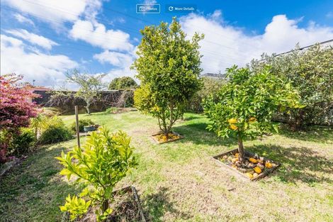 Photo of property in 9 Paton Avenue, Te Atatu South, Auckland, 0610